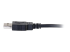 C2G 6.6ft USB Cable - USB A to USB A Cable - Close up