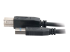 C2G - USB cable - USB Type A (M) to USB Type B (M) - Close up